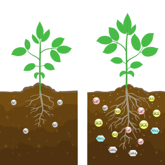 Página-Gesso_Agrícola_infográfico